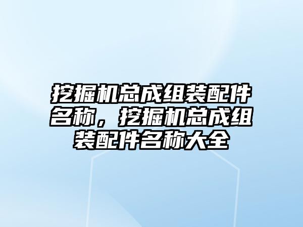 挖掘機總成組裝配件名稱，挖掘機總成組裝配件名稱大全