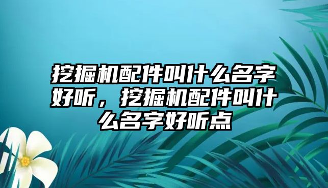 挖掘機(jī)配件叫什么名字好聽，挖掘機(jī)配件叫什么名字好聽點(diǎn)