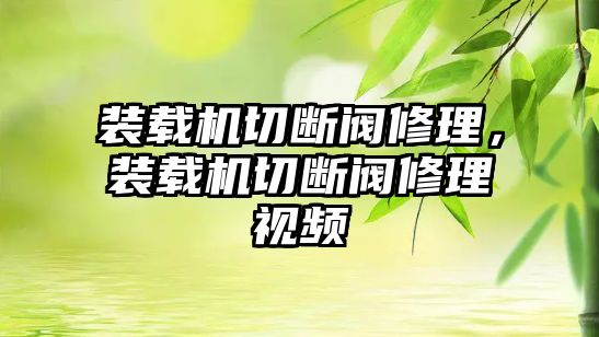 裝載機切斷閥修理，裝載機切斷閥修理視頻