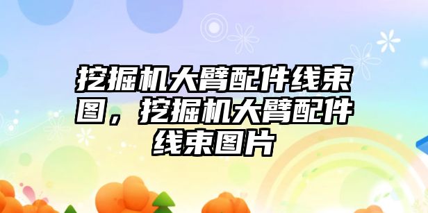 挖掘機大臂配件線束圖，挖掘機大臂配件線束圖片