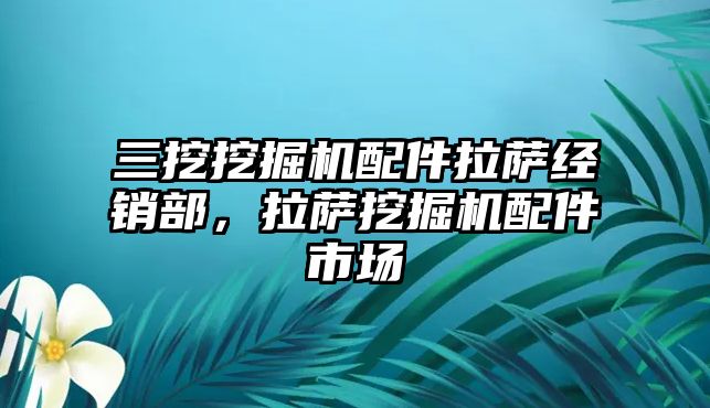 三挖挖掘機配件拉薩經銷部，拉薩挖掘機配件市場