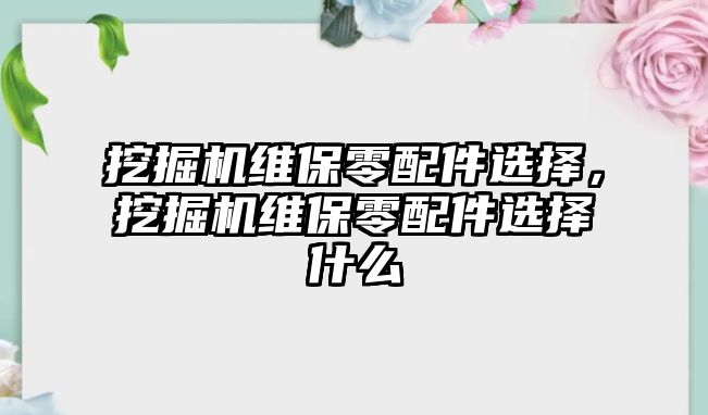 挖掘機(jī)維保零配件選擇，挖掘機(jī)維保零配件選擇什么