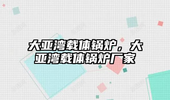 大亞灣載體鍋爐，大亞灣載體鍋爐廠家