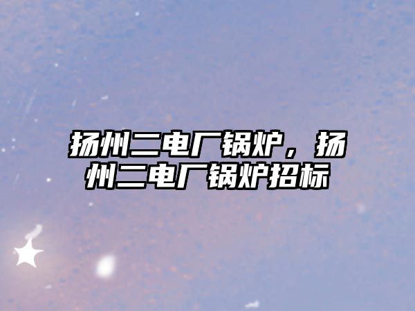 揚州二電廠鍋爐，揚州二電廠鍋爐招標