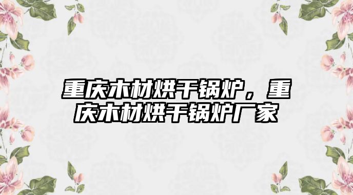 重慶木材烘干鍋爐，重慶木材烘干鍋爐廠家