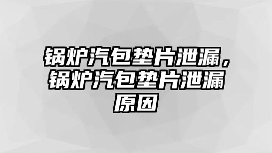 鍋爐汽包墊片泄漏，鍋爐汽包墊片泄漏原因