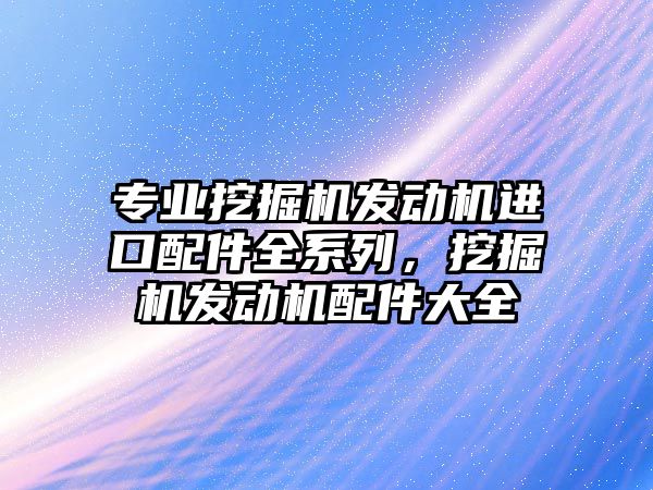 專業挖掘機發動機進口配件全系列，挖掘機發動機配件大全