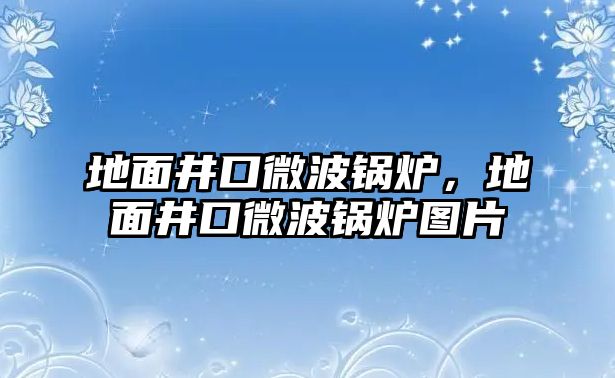 地面井口微波鍋爐，地面井口微波鍋爐圖片