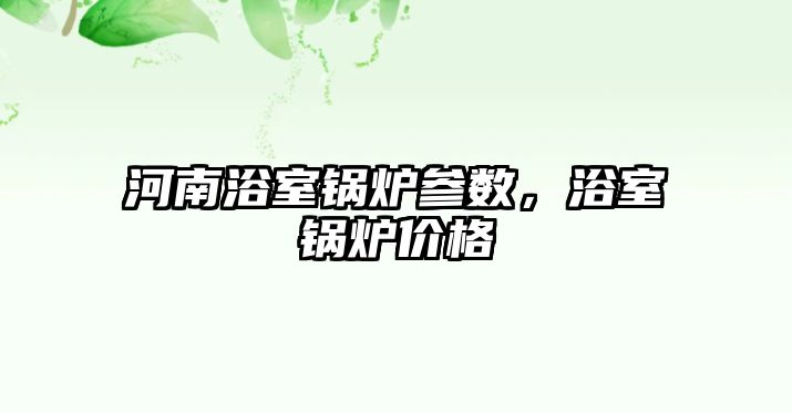 河南浴室鍋爐參數，浴室鍋爐價格