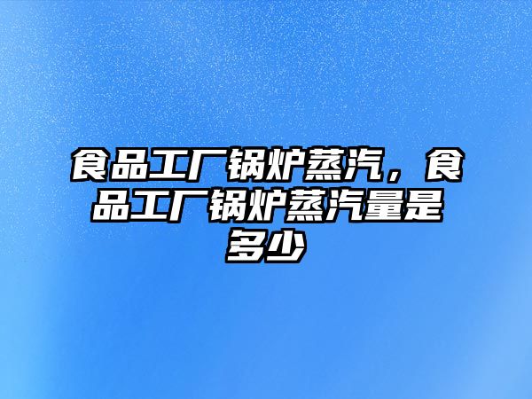 食品工廠鍋爐蒸汽，食品工廠鍋爐蒸汽量是多少