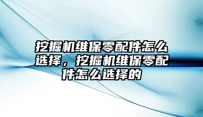 挖掘機維保零配件怎么選擇，挖掘機維保零配件怎么選擇的