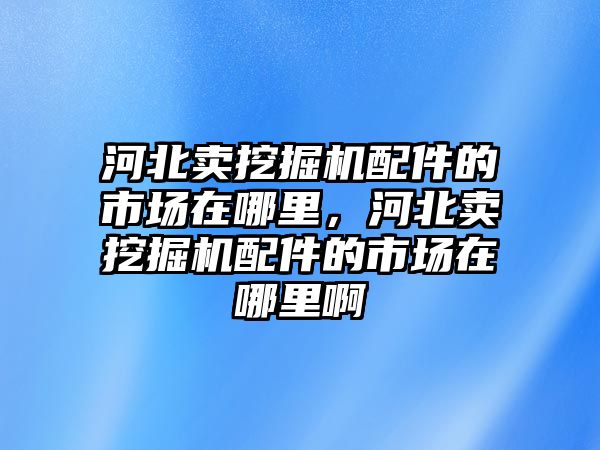 河北賣挖掘機配件的市場在哪里，河北賣挖掘機配件的市場在哪里啊