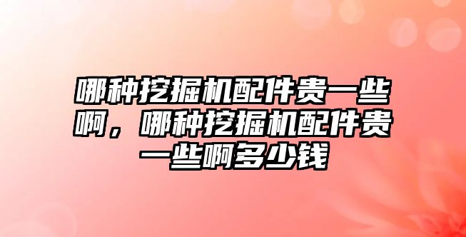 哪種挖掘機(jī)配件貴一些啊，哪種挖掘機(jī)配件貴一些啊多少錢(qián)