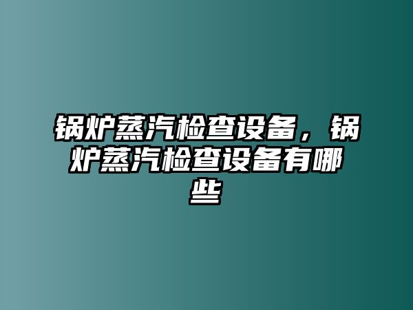 鍋爐蒸汽檢查設備，鍋爐蒸汽檢查設備有哪些