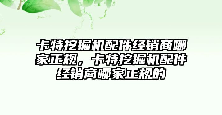 卡特挖掘機配件經銷商哪家正規，卡特挖掘機配件經銷商哪家正規的