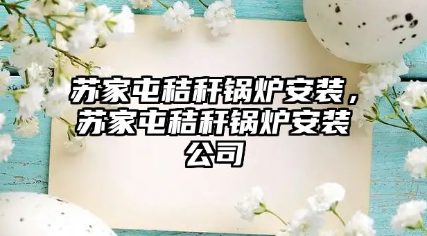 蘇家屯秸稈鍋爐安裝，蘇家屯秸稈鍋爐安裝公司