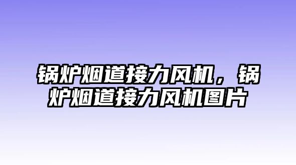 鍋爐煙道接力風(fēng)機(jī)，鍋爐煙道接力風(fēng)機(jī)圖片