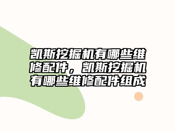 凱斯挖掘機有哪些維修配件，凱斯挖掘機有哪些維修配件組成