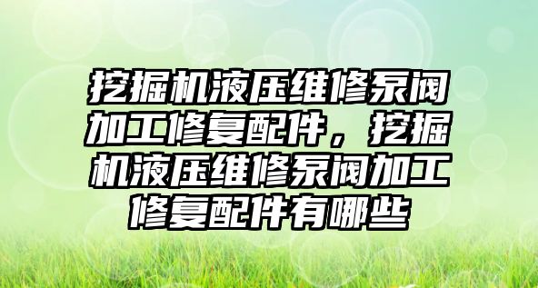 挖掘機液壓維修泵閥加工修復配件，挖掘機液壓維修泵閥加工修復配件有哪些