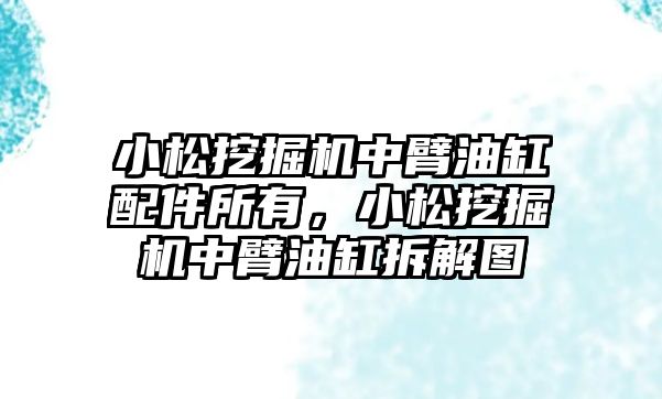 小松挖掘機中臂油缸配件所有，小松挖掘機中臂油缸拆解圖