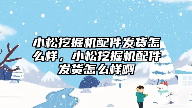 小松挖掘機配件發貨怎么樣，小松挖掘機配件發貨怎么樣啊