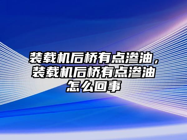 裝載機后橋有點滲油，裝載機后橋有點滲油怎么回事