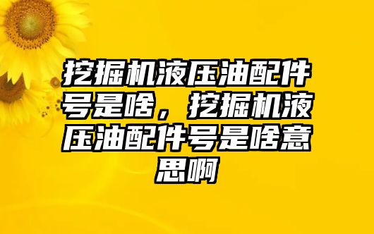 挖掘機液壓油配件號是啥，挖掘機液壓油配件號是啥意思啊