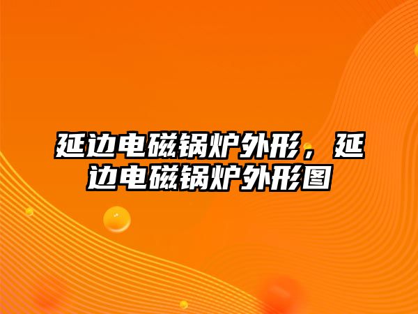 延邊電磁鍋爐外形，延邊電磁鍋爐外形圖