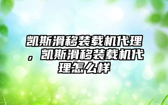 凱斯滑移裝載機代理，凱斯滑移裝載機代理怎么樣