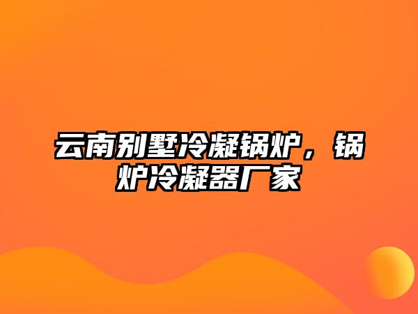 云南別墅冷凝鍋爐，鍋爐冷凝器廠家