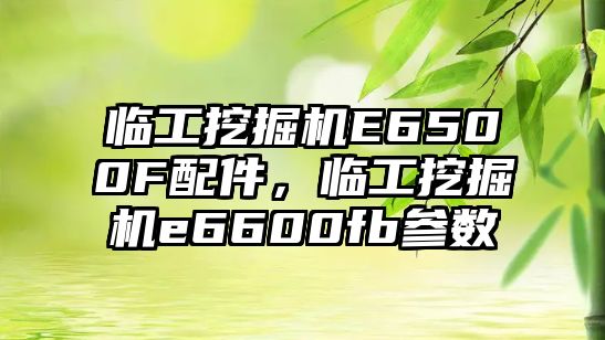 臨工挖掘機E6500F配件，臨工挖掘機e6600fb參數