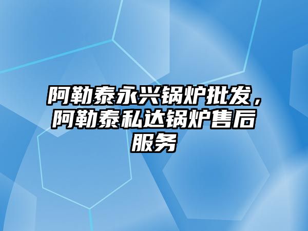 阿勒泰永興鍋爐批發(fā)，阿勒泰私達鍋爐售后服務