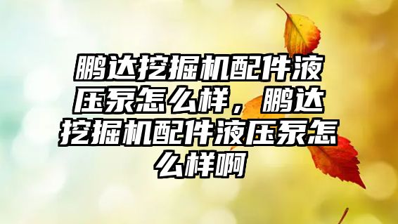 鵬達挖掘機配件液壓泵怎么樣，鵬達挖掘機配件液壓泵怎么樣啊