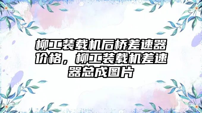 柳工裝載機后橋差速器價格，柳工裝載機差速器總成圖片