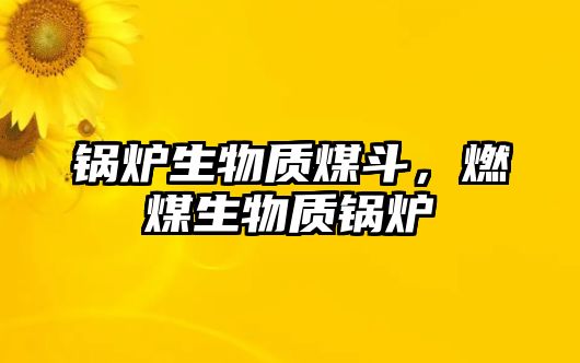 鍋爐生物質煤斗，燃煤生物質鍋爐