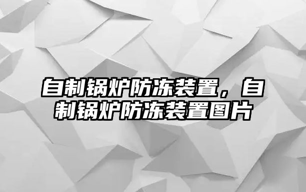 自制鍋爐防凍裝置，自制鍋爐防凍裝置圖片