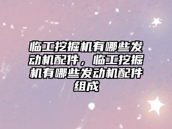 臨工挖掘機有哪些發動機配件，臨工挖掘機有哪些發動機配件組成