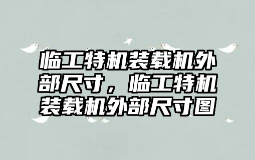 臨工特機裝載機外部尺寸，臨工特機裝載機外部尺寸圖