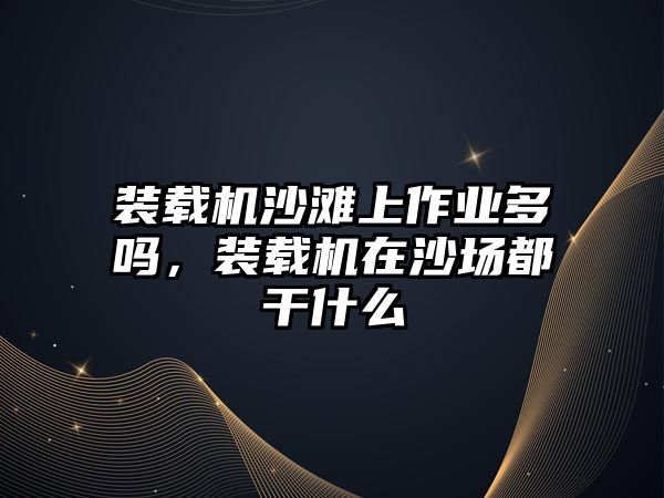 裝載機沙灘上作業多嗎，裝載機在沙場都干什么