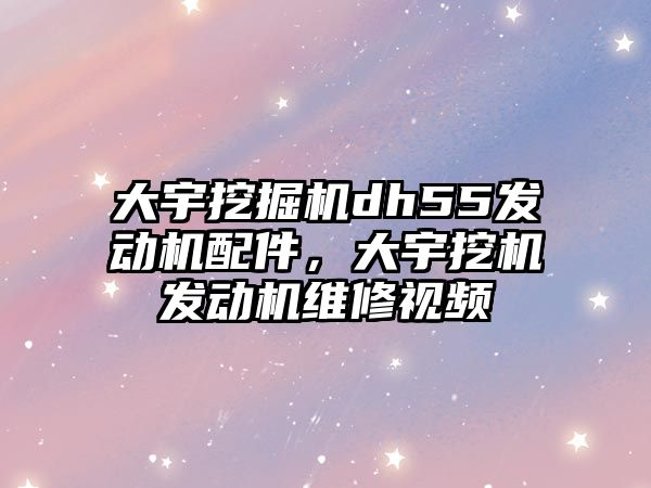 大宇挖掘機dh55發動機配件，大宇挖機發動機維修視頻