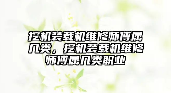 挖機裝載機維修師傅屬幾類，挖機裝載機維修師傅屬幾類職業