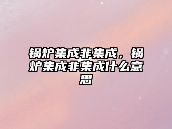 鍋爐集成非集成，鍋爐集成非集成什么意思