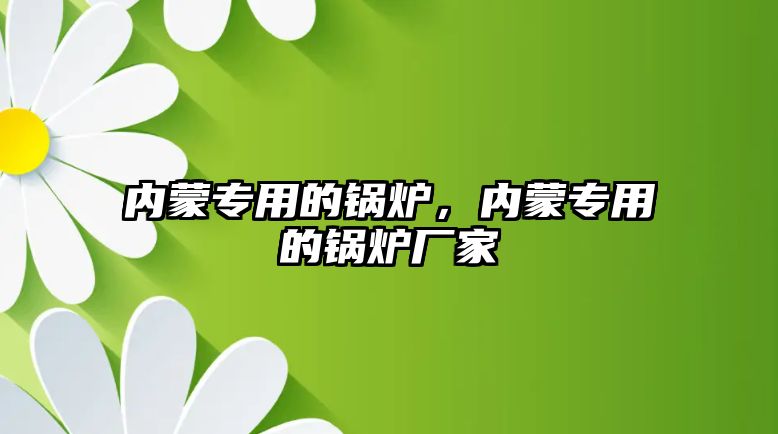 內蒙專用的鍋爐，內蒙專用的鍋爐廠家