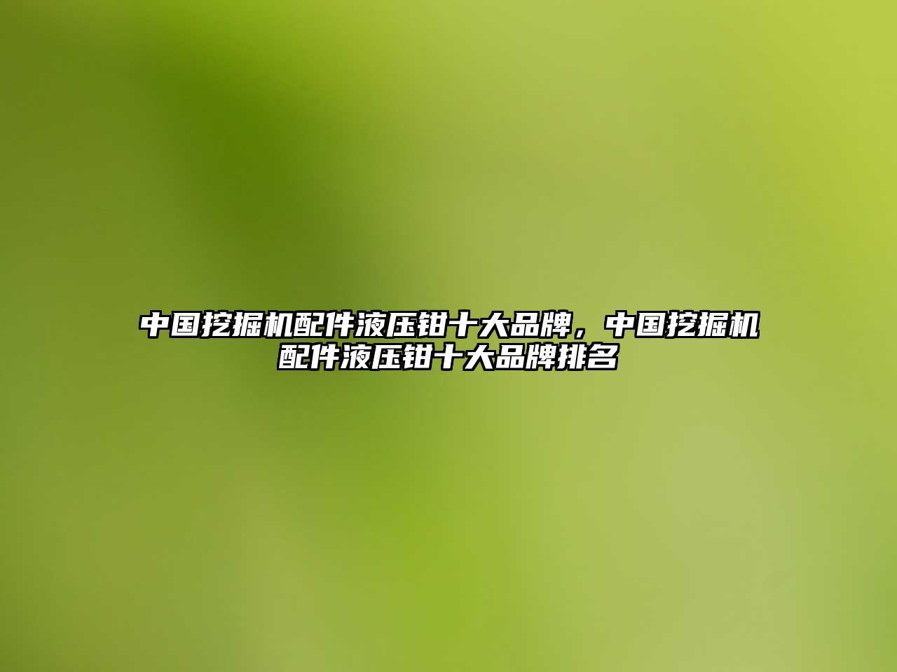 中國挖掘機配件液壓鉗十大品牌，中國挖掘機配件液壓鉗十大品牌排名