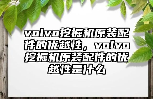 volvo挖掘機原裝配件的優(yōu)越性，volvo挖掘機原裝配件的優(yōu)越性是什么