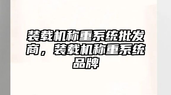 裝載機稱重系統(tǒng)批發(fā)商，裝載機稱重系統(tǒng)品牌