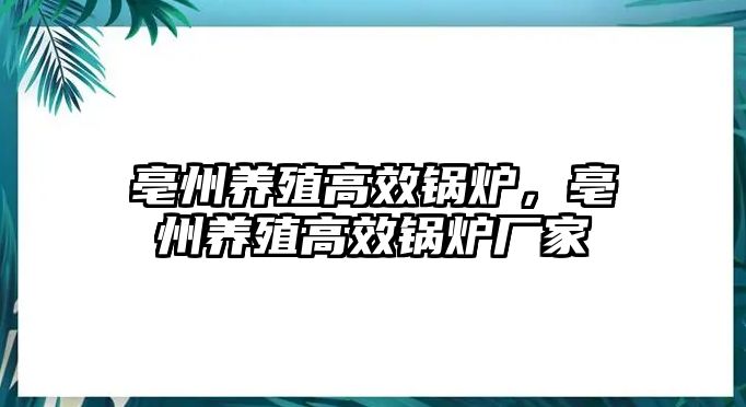 亳州養殖高效鍋爐，亳州養殖高效鍋爐廠家