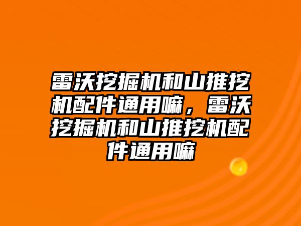 雷沃挖掘機和山推挖機配件通用嘛，雷沃挖掘機和山推挖機配件通用嘛