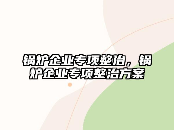 鍋爐企業專項整治，鍋爐企業專項整治方案