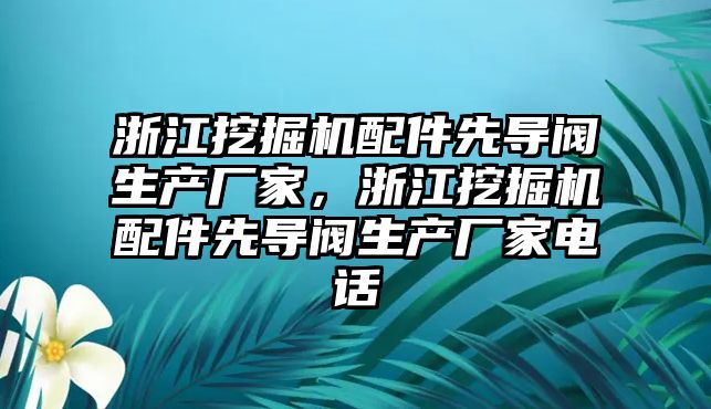 浙江挖掘機配件先導閥生產(chǎn)廠家，浙江挖掘機配件先導閥生產(chǎn)廠家電話